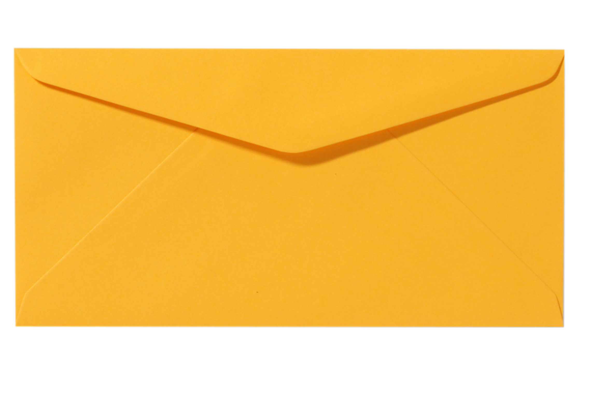 Roma goudgeel 11 x 22